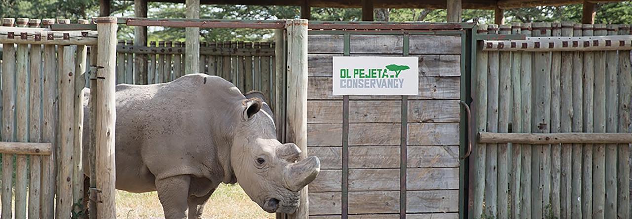 Ol Pejeta Holiday Villas Nanyuki Exteriér fotografie